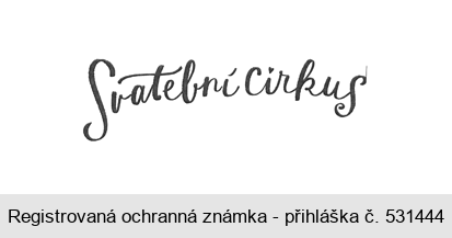 Svatební cirkus