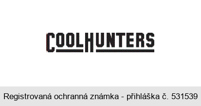 COOLHUNTERS