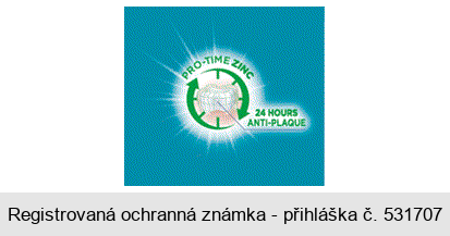 PRO-TIME ZINC 24HOURS ANTI-PLAQUE