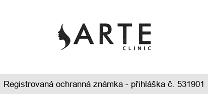 ARTE CLINIC