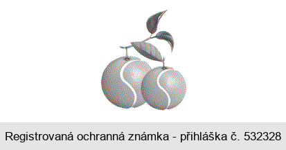 Ochranná známka