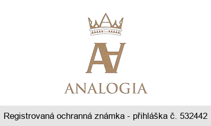 ANALOGIA