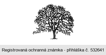 Ochranná známka