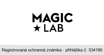 MAGIC LAB