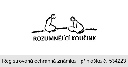 ROZUMNĚJÍCÍ KOUČINK