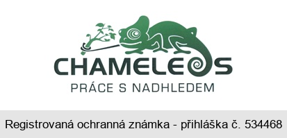 CHAMELEOS PRÁCE S NADHLEDEM