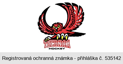 TECHNIKA HOCKEY