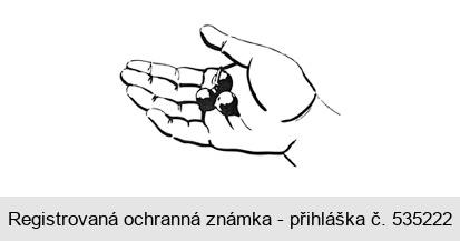 Ochranná známka