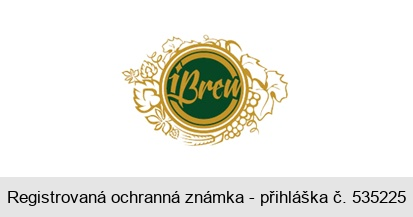 iBrew