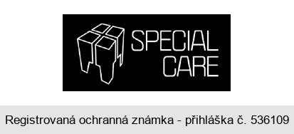 SPECIAL CARE