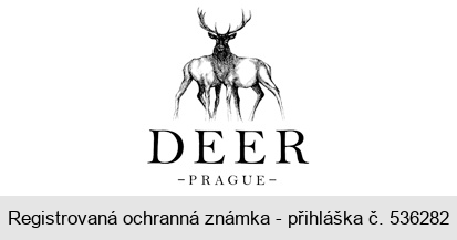 DEER PRAGUE