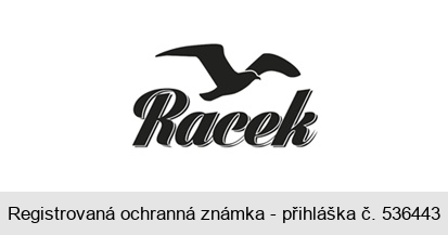 Racek