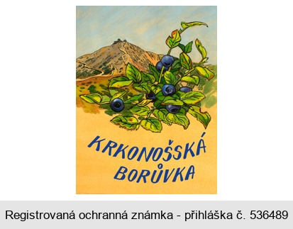 KRKONOŠSKÁ BORŮVKA