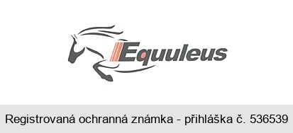 Equuleus