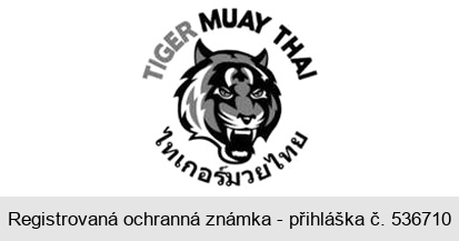 TIGER MUAY THAI