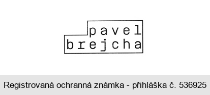 pavel brejcha