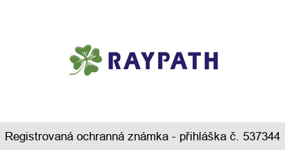 RAYPATH