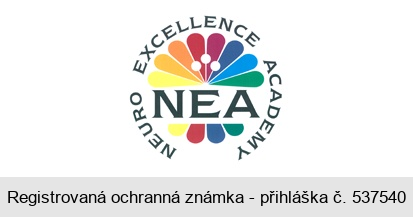 NEA NEURO EXCELLENCE ACADEMY