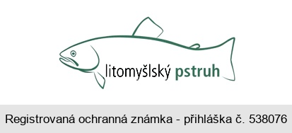 litomyšlský pstruh