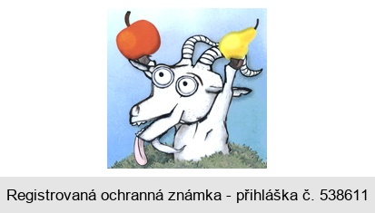 Ochranná známka