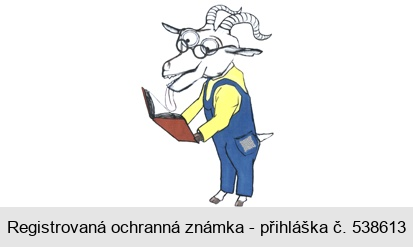 Ochranná známka