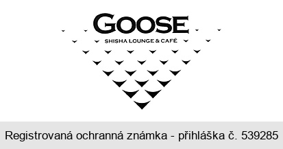 GOOSE SHISHA LOUNGE & CAFÉ