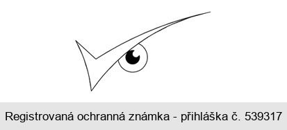 Ochranná známka