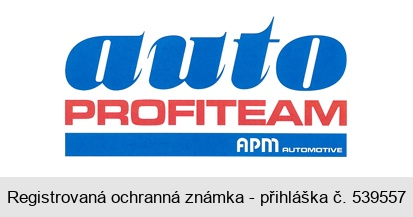 auto PROFITEAM APM AUTOMOTIVE