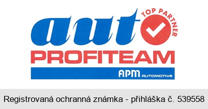 auto PROFITEAM APM AUTOMOTIVE TOP PARTNER