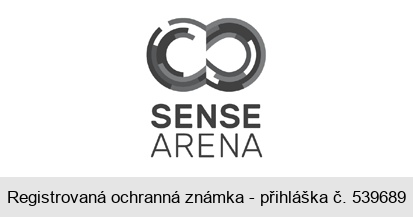 SENSE ARENA