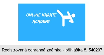 ONLINE KARATE ACADEMY