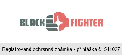 BLACKFIGHTER