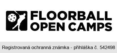 FLOORBALL OPEN CAMPS