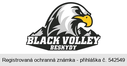 BLACK VOLLEY BESKYDY