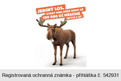 JEDINÝ LOS, KTERÝ VÁM MŮŽE NOSIT AŽ 100 000 KČ MĚSÍČNĚ CELÝCH 5 LET