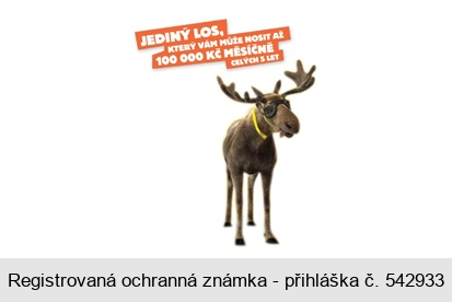 JEDINÝ LOS, KTERÝ VÁM MŮŽE NOSIT AŽ 100 000 KČ MĚSÍČNĚ CELÝCH 5 LET