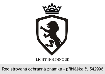 LICHT HOLDING SE