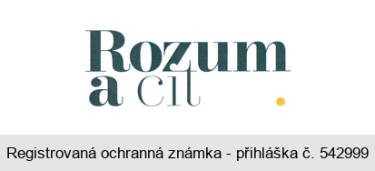 Rozum a cit