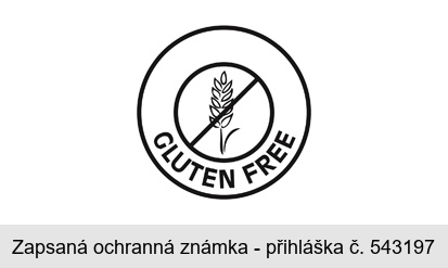 GLUTEN FREE