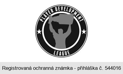 PLAYER DEVELOPMENT LEAGUE