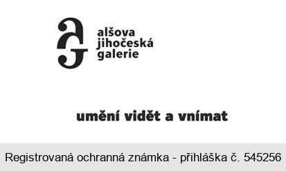 aj alšova jihočeská galerie umění vidět a vnímat