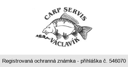 CARP SERVIS VÁCLAVÍK