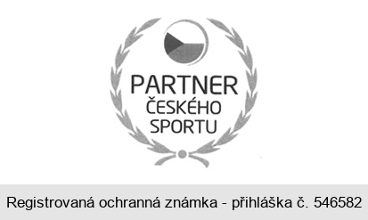 PARTNER ČESKÉHO SPORTU