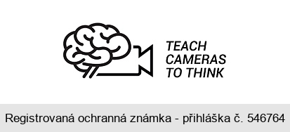 TEACH CAMERAS TO THINK