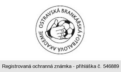 OSTRAVSKÁ BRANKÁŘSKÁ FOTBALOVÁ AKADEMIE