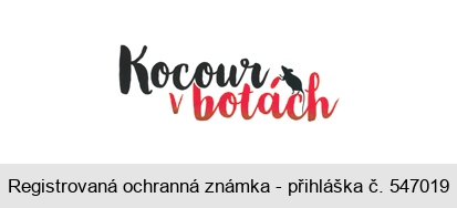 Kocour v botách