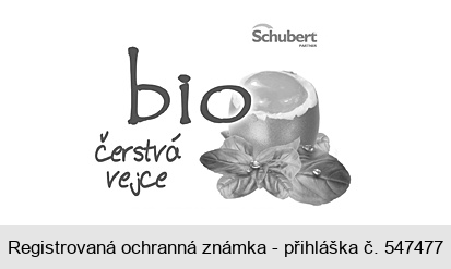 bio čerstvá vejce Schubert