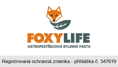 FOXYLIFE OSTROPESTŘECOVÁ BYLINNÁ PASTA