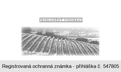 PROSLUNĚNÝ VINOHRAD