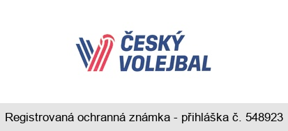 V ČESKÝ VOLEJBAL